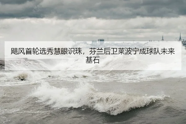 飓风首轮选秀慧眼识珠，芬兰后卫莱波宁成球队未来基石